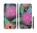 The Bright Colorful Flower Sprouts Sectioned Skin Series for the Apple iPhone 6/6s